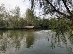 -溱湖国家湿地公园