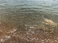 -大连金石滩滨海国家地质公园