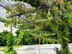 -任达丞国农庄(任达山庄店)