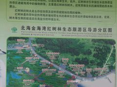 -北海金海湾红树林生态旅游区