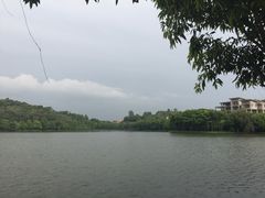 -三水森林公园