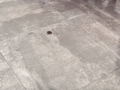 -烧蠔帮·生蚝海鲜牌档(观海店)