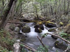 -叠溪松坪沟景区