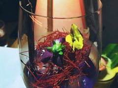 蝴蝶飞舞-RMK Shochu Bar(三诺店)