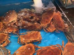 -谊荣海鲜大牌档(石湖店)