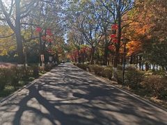 -云龙湖旅游景区