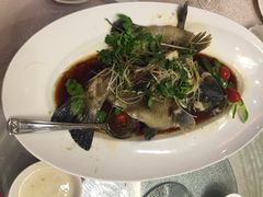 清蒸东星斑-潮福城大酒楼·潮粤菜·港式点心(阳光城店)