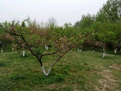 -白鹭湾湿地公园