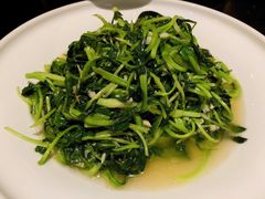 清炒鸡毛菜-徽镇小厨·经典徽菜(十里河店)