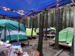 -重庆睡佛山森林公园