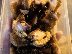 -脆皮五花肉(建东街旗舰店)