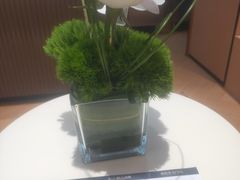 -蓉小乔·RONG COFFEE(春熙路店)