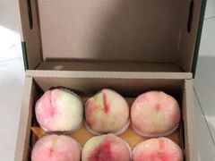 -老袁家蜜桃农场·阳山水蜜桃