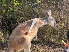 -泉州海丝野生动物世界