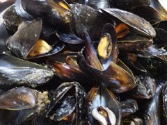 -宾朋海鲜特色美食餐厅·纯手工鲅鱼水饺(兴海路店)