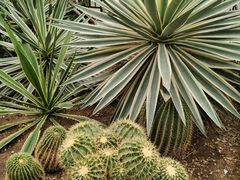 -北京植物园-展览温室