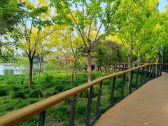 -东郊湿地公园