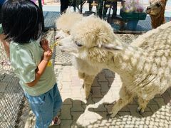 -新疆天山野生动物园
