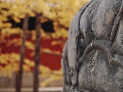 -大觉寺-停车场