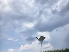 -合肥滨湖国家森林公园