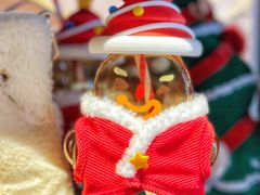 -星巴克(北京望京店)