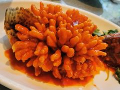 -丽华园(青少年宫店)