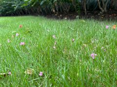 -杭州城北体育公园