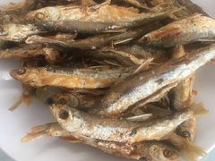 -庆岭迎宾园正宗活鱼馆