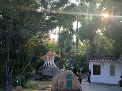 -深圳国际园林花卉博览园