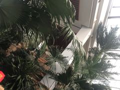 -国信南山温泉