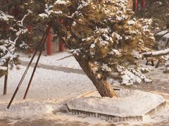 -沈阳市东陵公园