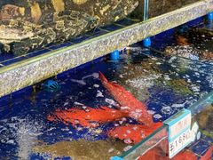 -随园花园餐厅(新港中路店)