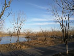 -东郊湿地公园