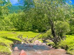 -芦芽山旅游度假区