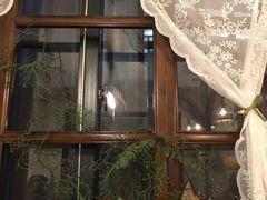 -春风·有糖(崇宁路店)
