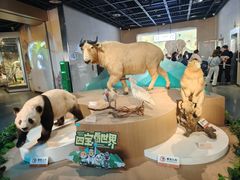 -陕西自然博物馆