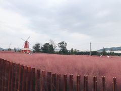 -羊亭河湿地公园