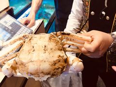 -金唐海鲜酒家