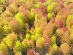 -天津东丽湖风景区