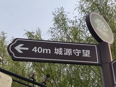 -莲花池公园