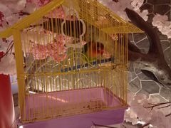 -蓝鲸湾汤泉(包河店)