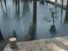 -东湖落雁景区
