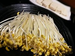 -锅说大脸毛肚重庆老火锅(佐阾店)