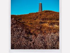 -大伊山景区