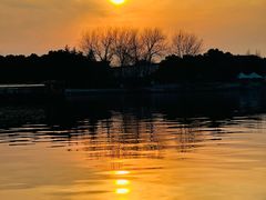 -溱湖国家湿地公园