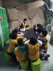 -DoDo梦想城(泉舜购物中心店)