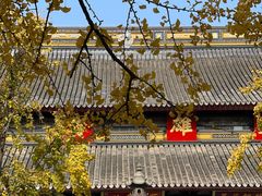 -西园戒幢律寺