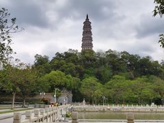 -顺峰山公园