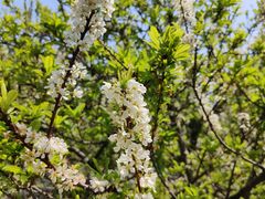 -中国移动南方基地