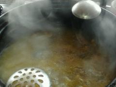 -蘑统田下·野生菌火锅